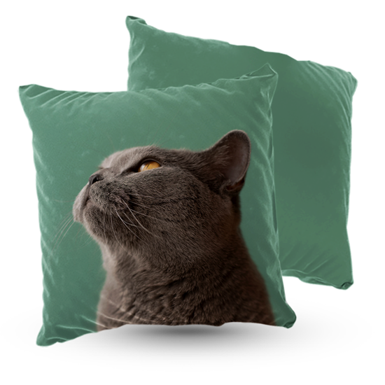 Poduszka welur kot brytyjski niebieski